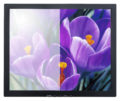 17" daylight viewable monitor