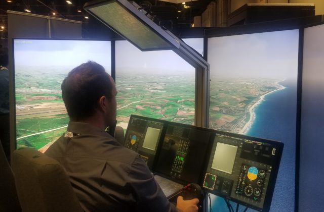 FLIGHT SIMULATOR MONITORS
