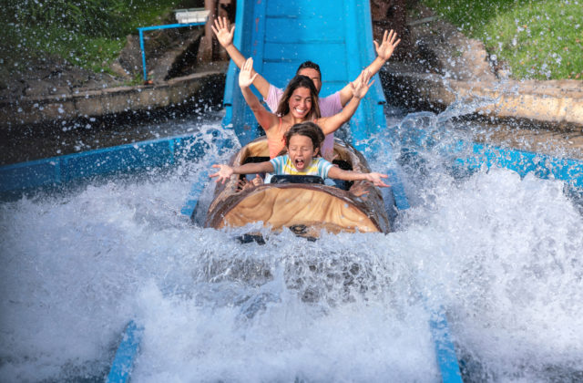 Amusement Park Monitors, Outdoor Displays, Digital Signage