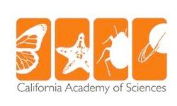 client caliacademy