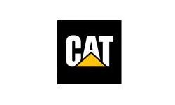 client cat