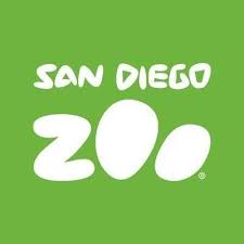 Video Displays for Zoos