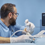 lightweight medical monitors