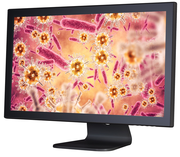 clinical microscopy display